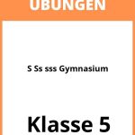 S Ss ß Übungen 5 Klasse Gymnasium PDF